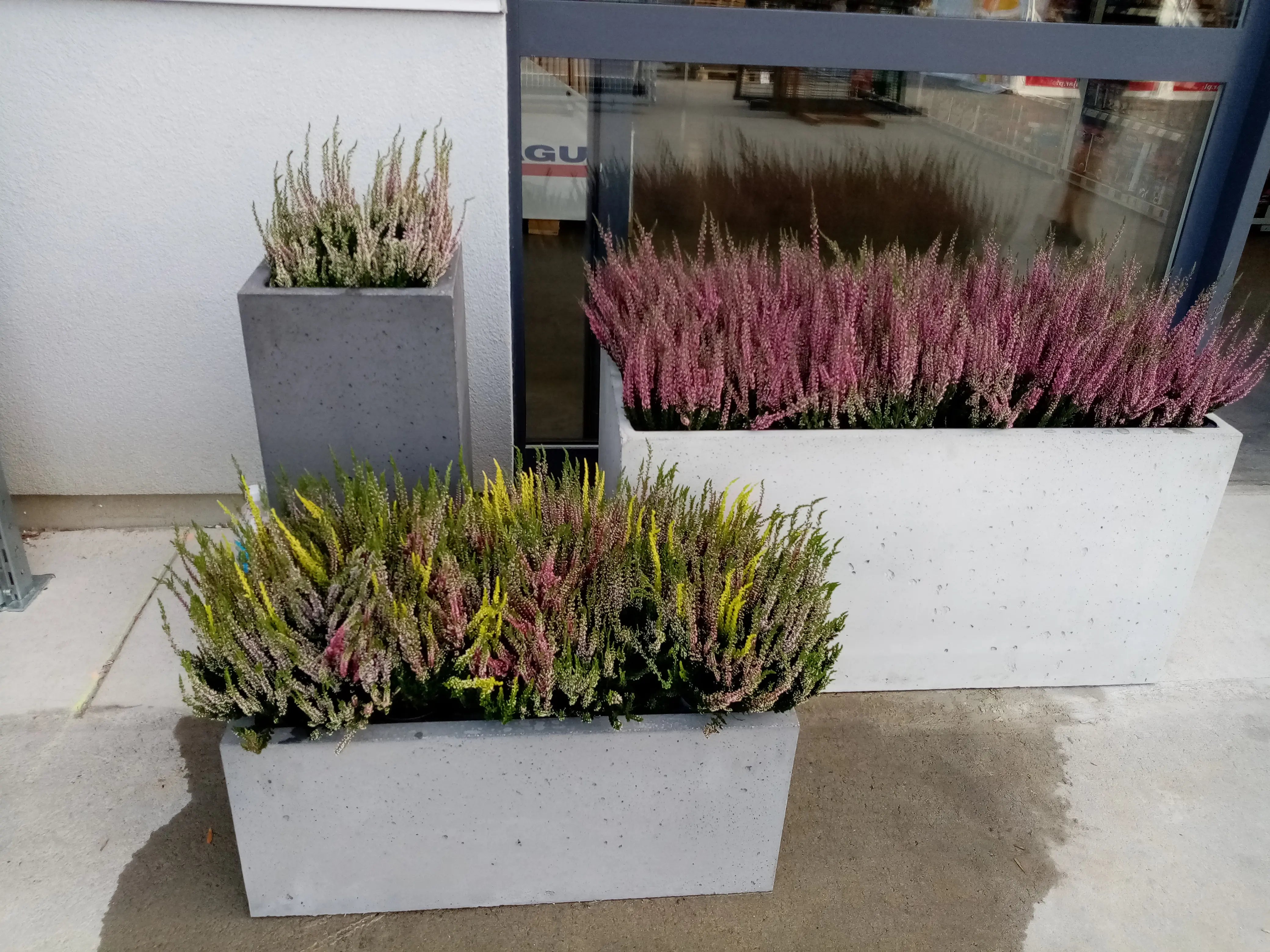 Outdoor Concrete Planters - Rectangle 50x120x50 cm in front of a window Decormania.eu